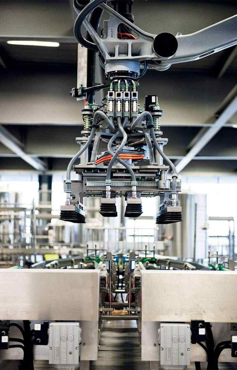 Cical stockage conditionnement champagne