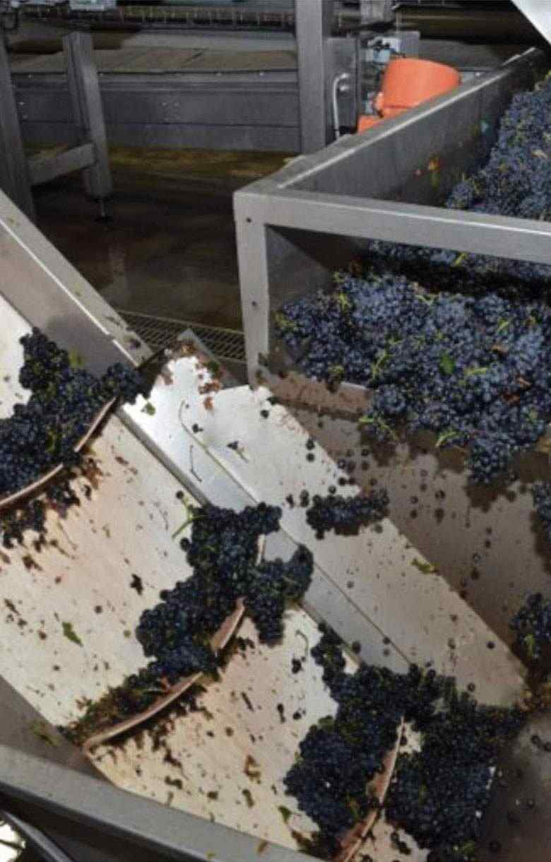 Cical usine production vin raisin Val du Clos